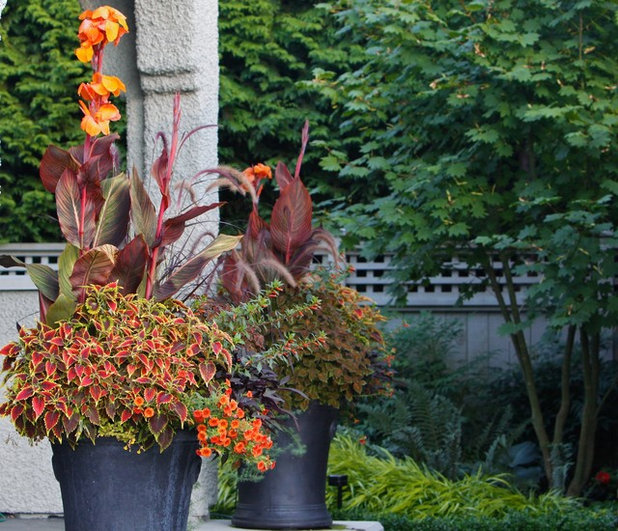 Traditional Landscape by Pot Incorporated