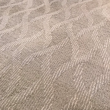 Shaw Infinity Style Carpet