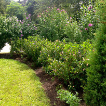 Flower bed