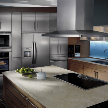 Electrolux Icon