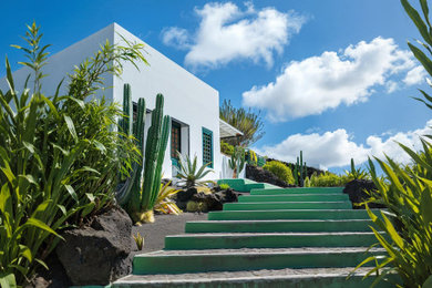 Paisajismo Isla
