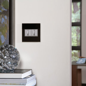 adorne® Whisper Switches in 2-Gang Wall Plate