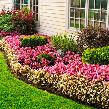 Beautiful Flower Landscaping in Suwanee Georgia