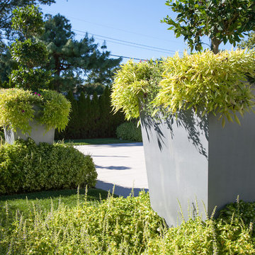Capital Garden Planters