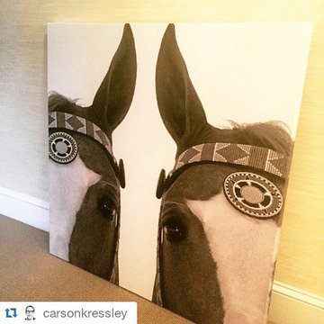 random equestrian canvas work