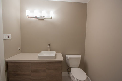 Help with mirror choice for bathroom vanity.