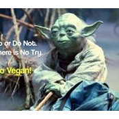 Anita Moos's photo