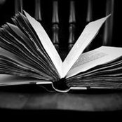 Suzanne Sanders's photo
