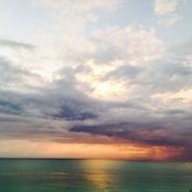 Char Wojcik's photo