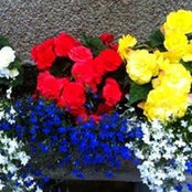 Elsa Guillero's photo