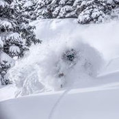 Andrew Benaquista's photo