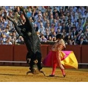 Jorge Granja's photo