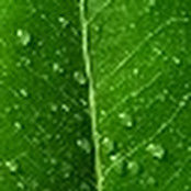 Jordan Stanaway's photo