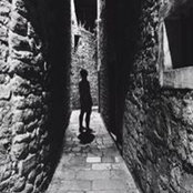 Alin Berari's photo