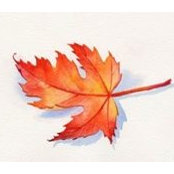 Sherry Rainer's photo