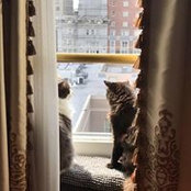 Amy Quatier's photo