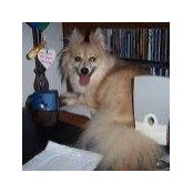 Sandra Jarrells's photo