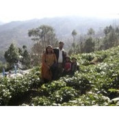 Yogesh Aggarwal's photo