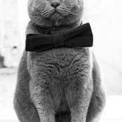 Vasily Larin's photo