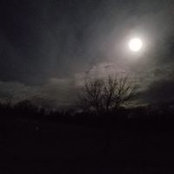 Suzie Luebbe's photo