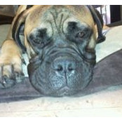 Kimberley Blumenberg's photo