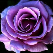 Wendy Khadj's photo