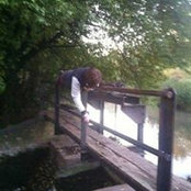 Will Tarbox's photo