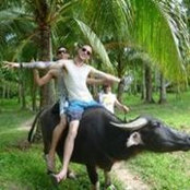 Foto de Damo Hiscock
