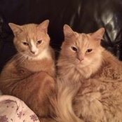 Sarah Laidig's photo