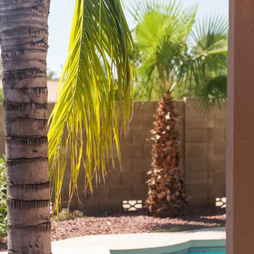 18 S Riata Drive Gilbert AZ 85296