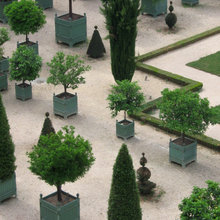 Versailles Garden Images, Partarres, Plants