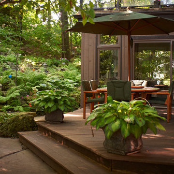 The Secret Garden - Natural Landscape Group