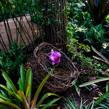 Rienzi Mansion - MFAH - Landscape Design & Installation