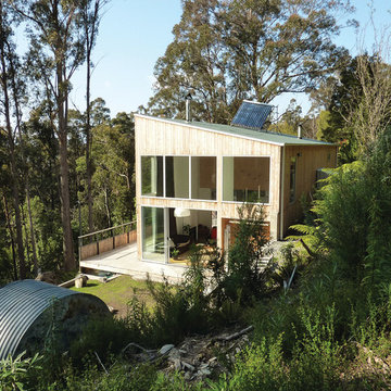 Celery top Cladding