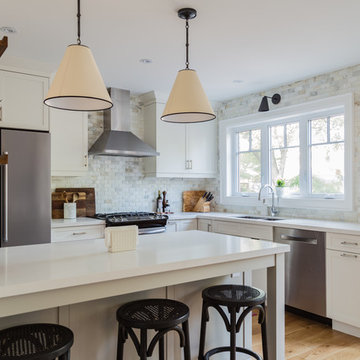 Eleventh Street- Transitional white kitchen