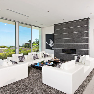 Contemporary Living Room