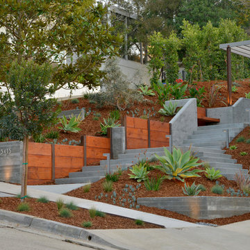 Point Loma Mid Century Modern