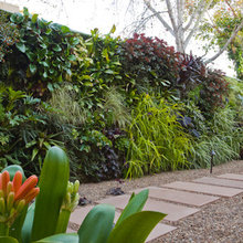 green wall