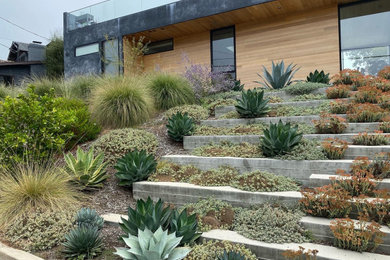 Inspiration for a modern landscaping in Los Angeles.