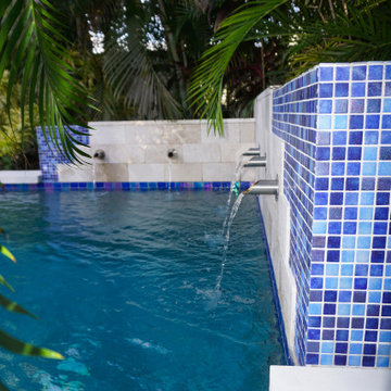 Landscape, Lanai and Contemporary Pool
