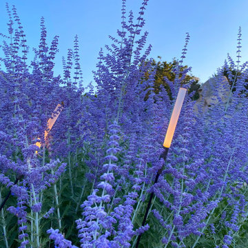 Soft prairie borders in Porto Rafael, Costa Smeralda.