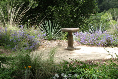 Design ideas for a mediterranean landscaping in Los Angeles.