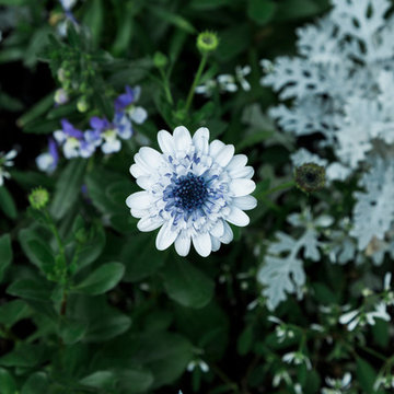 Plant Materials