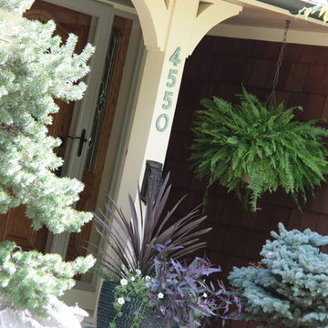 Exterior Paint