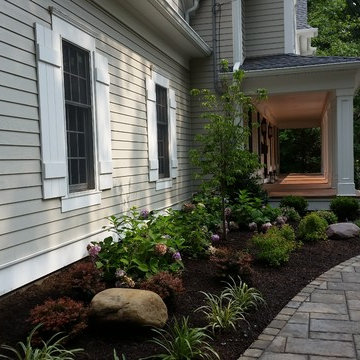 Front walkway and planting