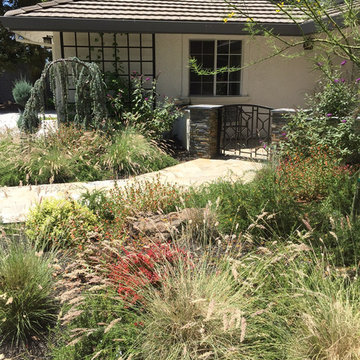 Front Yard New Curb Appeal