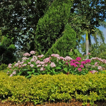 Miami Landscape Design Ideas