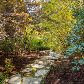 Sammamish Beauty Above The Lake