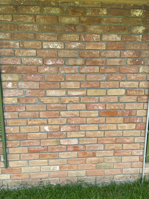 Brick Color? Design Advice?