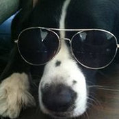 Andra Miller's photo
